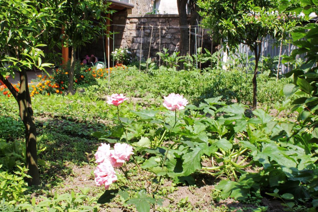 Chez Chantal Bed & Breakfast Meta Dış mekan fotoğraf