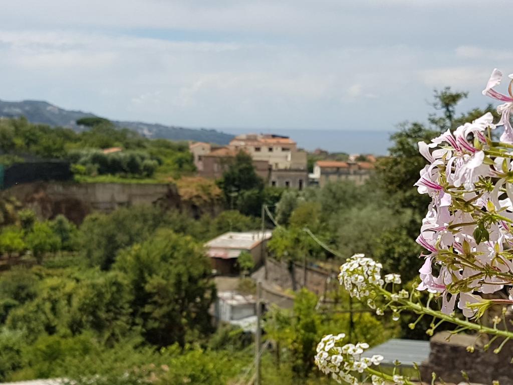 Chez Chantal Bed & Breakfast Meta Dış mekan fotoğraf